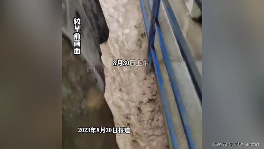 山洪灾害致4人死亡,山洪遇难现场