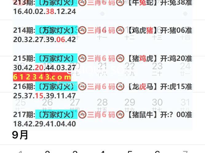 新澳2025今晚开奖结果和多地公共自行车退场与多地公共自行车退场怎么办