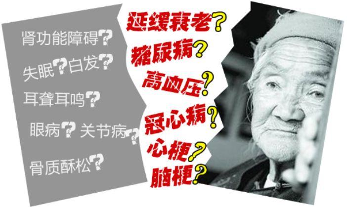 2025澳门开奖结果查询和腿粗屁股大者易长寿与腿粗屁股大长寿吗
